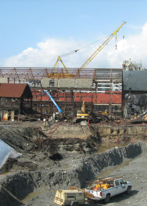 Real Estate and Development - Next Environmental Inc