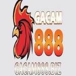 gacam888 biz