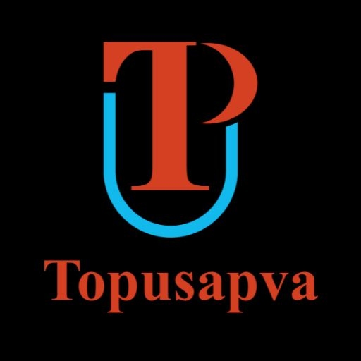 Topusapva SEO services