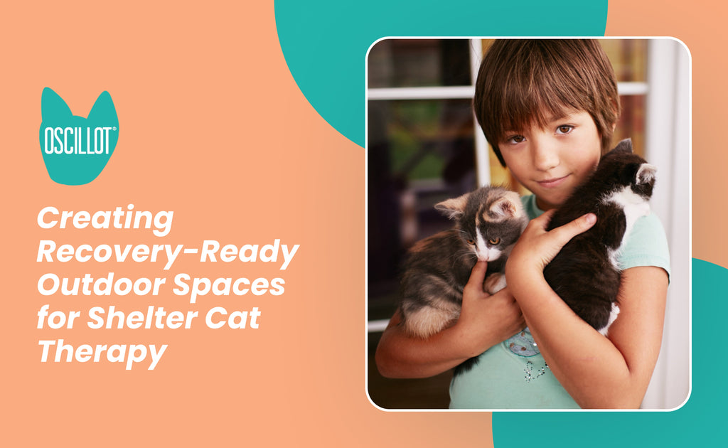 Creating Recovery-Ready Outdoor Spaces for Shelter Cat Therapy – Cat-Proof Fence Rollers | Oscillot® North America