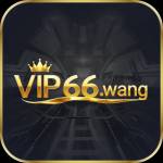 vip66 wang
