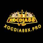 Xocdia 88X