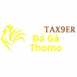 Đá Gà Trực Tiếp Thomo