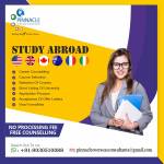 Pinnacle Overseas Consultants Profile Picture