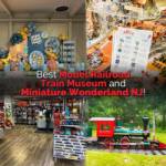 hobby stores near me trains