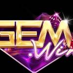 Gemwin coupons
