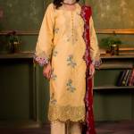 Pakistani Mehndi Dresses