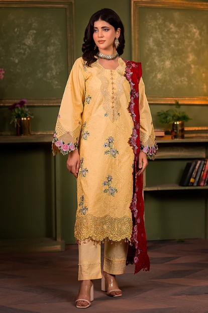 Pakistani Mehndi Dresses