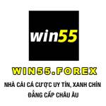 Win55 Forex