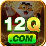 12q bet
