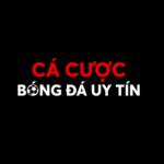 Cá Cược Bóng Đá
