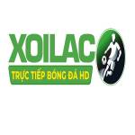 festivalforthefutureco die web