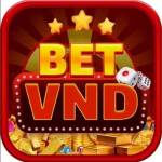 Betvnd88 biz