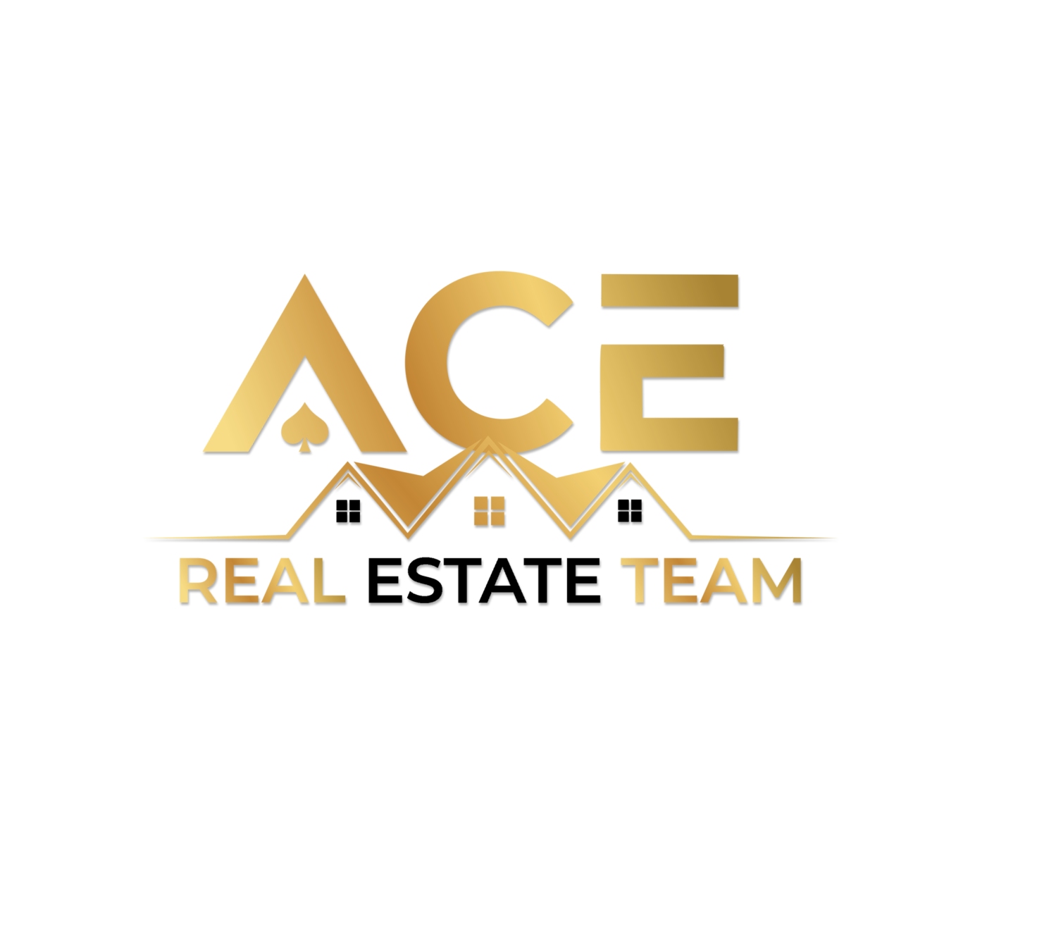 ACE Real Estate Team