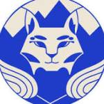 Bobcat Cleans Service