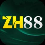 Zh88 one