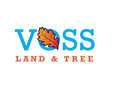 Voss Land Tree