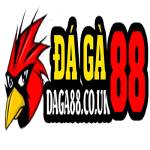 DAGA88 ĐÁ GÀ 88 TRỰC TIẾP ĐÁ GÀ THOMO HÔM NAY