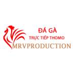 Đá Gà Trực Tiếp Thomo
