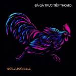 ĐÁ GÀ TRỰC TIẾP THOMO CAMPUCHIA Full HD HÔM NAY