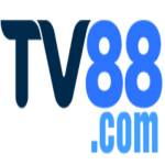 TV 88