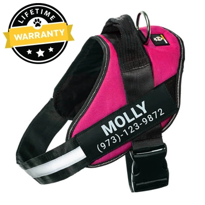 Lifetime Warranty Personalized NO PULL Harness Profile Picture