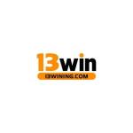 13Win Điểm Đến Giải Trí Cá Cược Hấp Dẫn