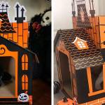 target cat scratcher near me