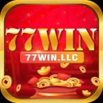 77Win llc