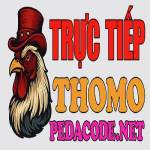 ĐÁ GÀ TRỰC TIẾP THOMO HÔM NAY TẠI CAMPUCHIA