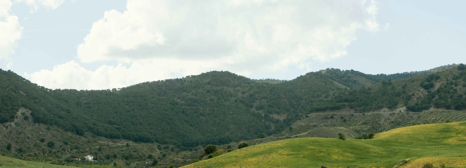 Properties in Rishikesh