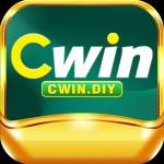 Cwin diy