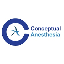 Conceptual Anesthesia