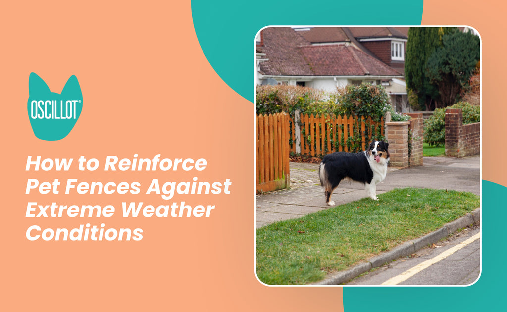 How to Reinforce Pet Fences Against Extreme Weather Conditions – Cat-Proof Fence Rollers | Oscillot® North America