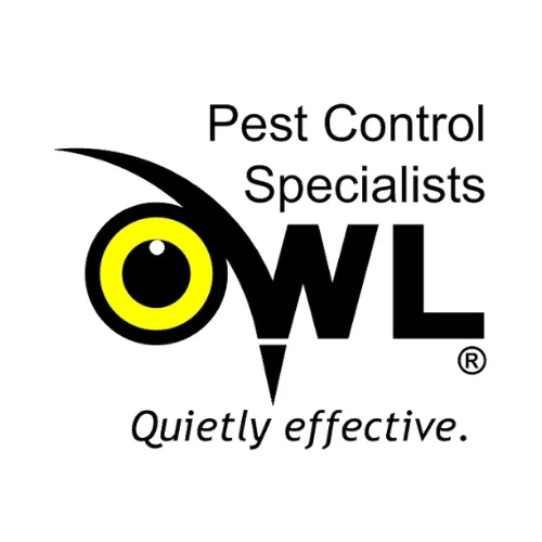 Prominent Aspects That Transform the Quality of the Best Pest Control Services Dublin