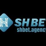 Shbet agency