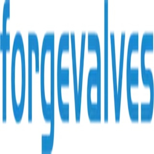 Forged Valves