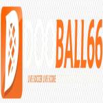 dooball66 1