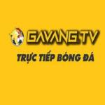 gavang tv