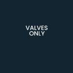 VALVES ONLY