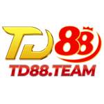 td 88