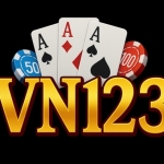 vn123 store