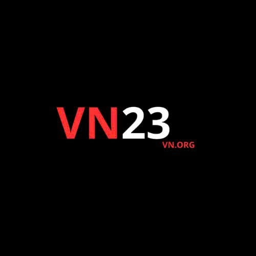 VN23 VNORG