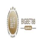 Bigbet88 dev