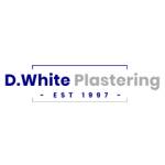 D White Plastering