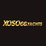 Xoso66 investments