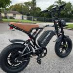 VICTRIP Ebike