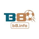 b8 info