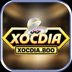 Xocdia boo