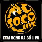 Socolive day